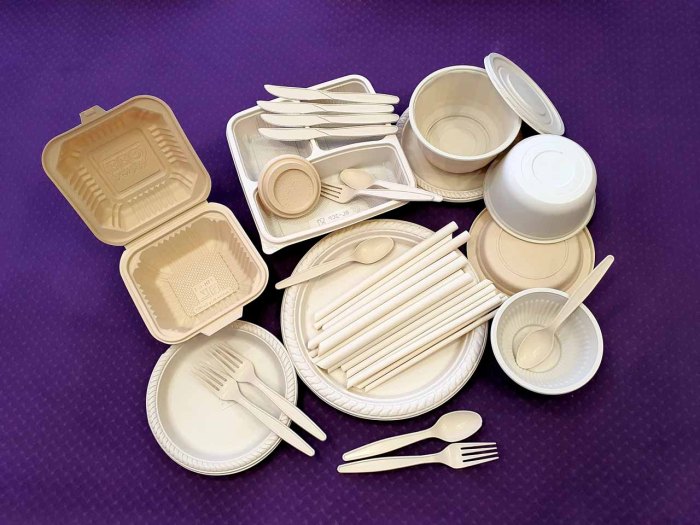 Green Living Essentials: Products for an Eco-Friendly Home