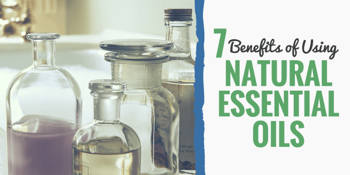 7 Essential Oil Diffusers To Help You Relax At Home In 2021 | Tatler Asia Aromatherapy Benefits: Essential Oils and Diffusers for Well-Being