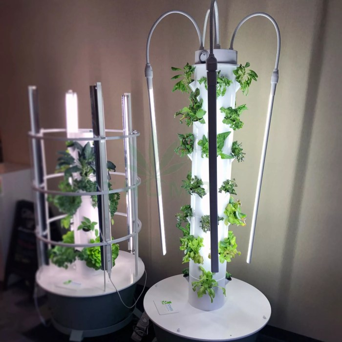 Indoor Gardening Made Easy: Smart Planters and Grow Lights