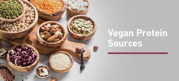 Ep. #728: 30 of the Best Sources of Plant Protein for Building Muscle ... Plant-Based Protein: Supplements for Muscle and Recovery