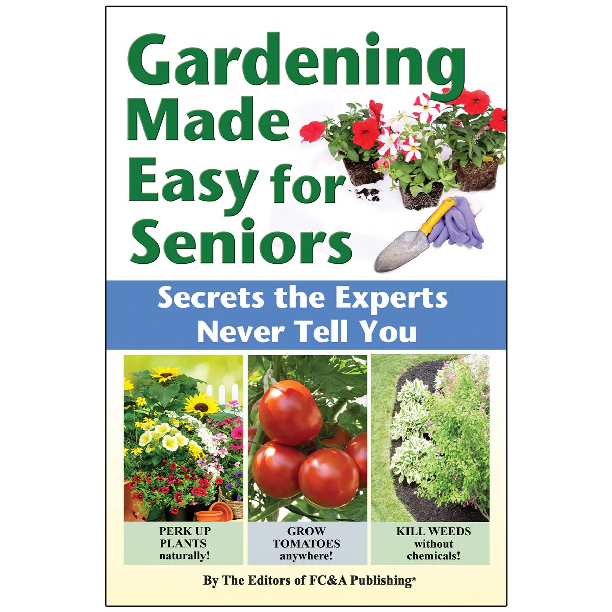 Gardening Made Easy: Garlic Bulb Planter Tool » GarlicFruit.com Indoor Gardening Made Easy: Smart Planters and Grow Lights