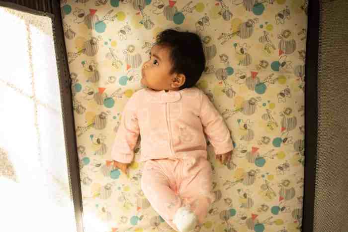 Safe Infant Sleep Recommendations - Safe Sleep NC Safe Sleep Solutions: Cribs and Sleep Aids for Infants