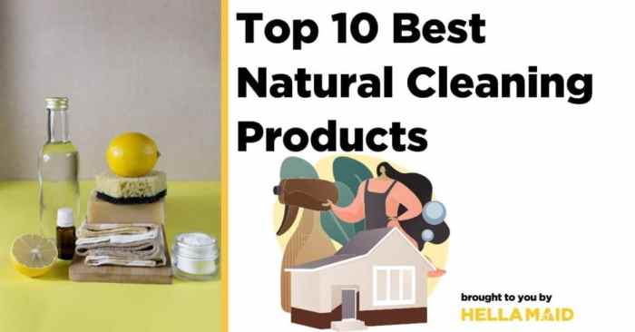 The Top 10 Most Effective Natural Cleaning Products for Your Home Green Cleaning: Natural Products for a Sparkling Home
