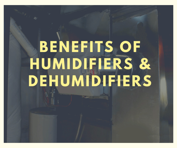 Air Quality Matters: Purifiers and Humidifiers for Healthier Homes