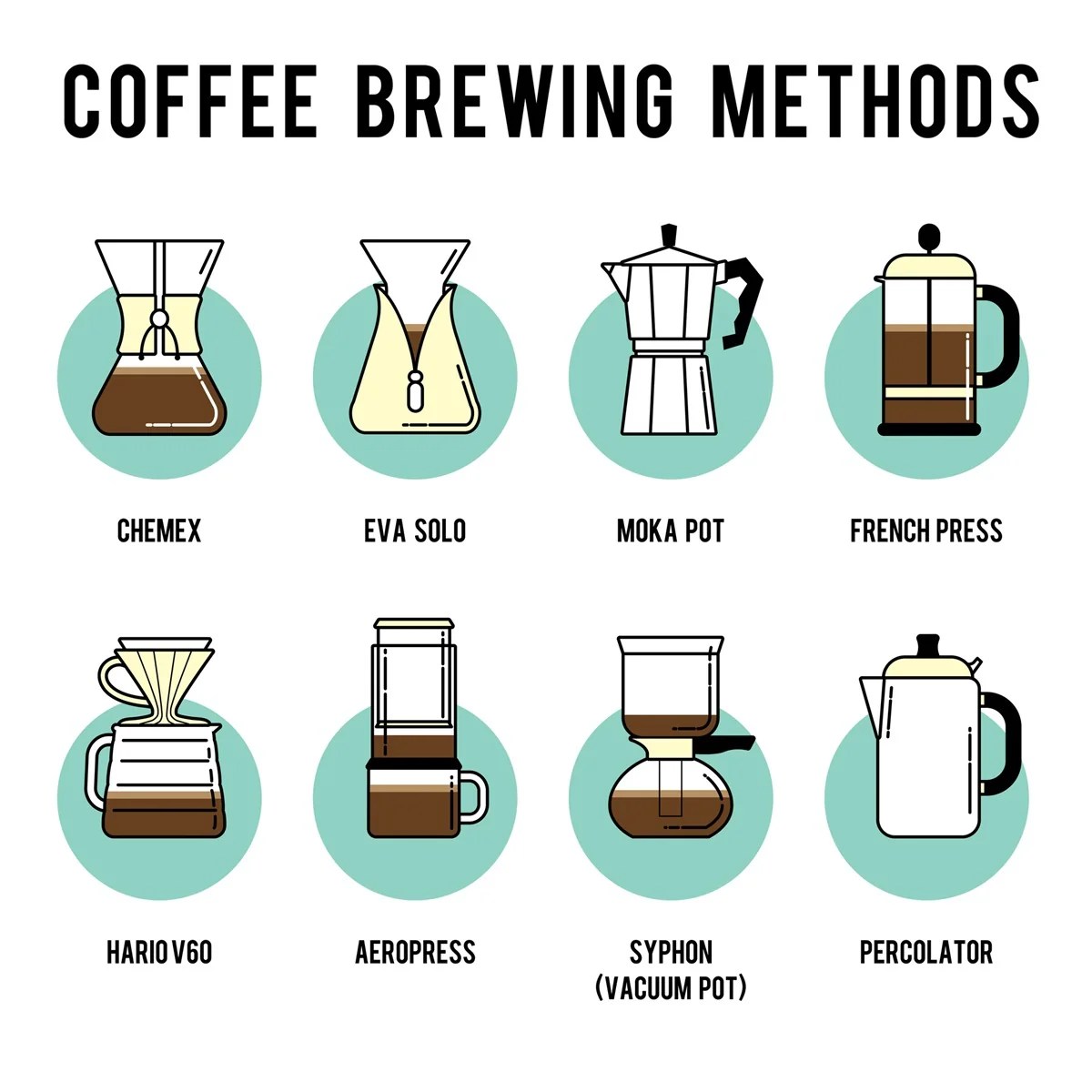 Coffee Lover's Guide: Exploring Premium Beans and Brewing Methods