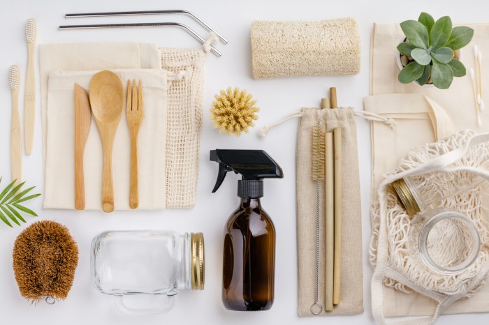 Eco-Friendly Products Examples 2024: Top 15 Choices Green Living Essentials: Products for an Eco-Friendly Home