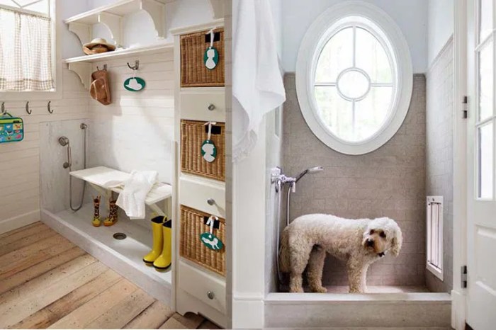 10 Awesome Pet-Friendly Home Inventions | Decorilla Online Interior Pet-Friendly Home Decor: Stylish Solutions for Animal Lovers