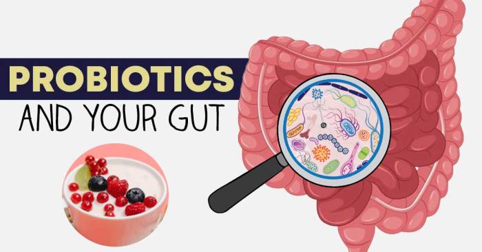 Health Revolution Probiotics 100 Billion for Women and Men – Shelf ... Gut Health Revolution: Probiotics and Digestive Wellness Products